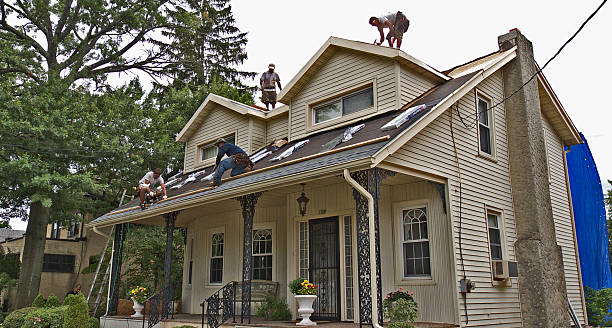 Best Metal Roofing Contractor  in Des Moines, IA
